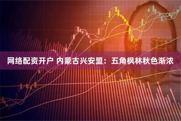 网络配资开户 内蒙古兴安盟：五角枫林秋色渐浓