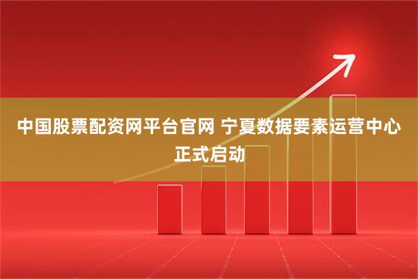 中国股票配资网平台官网 宁夏数据要素运营中心正式启动